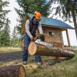 Stihl 18” Gas Homeowner Chainsaw – MS 250 – Magee Outdoor Power